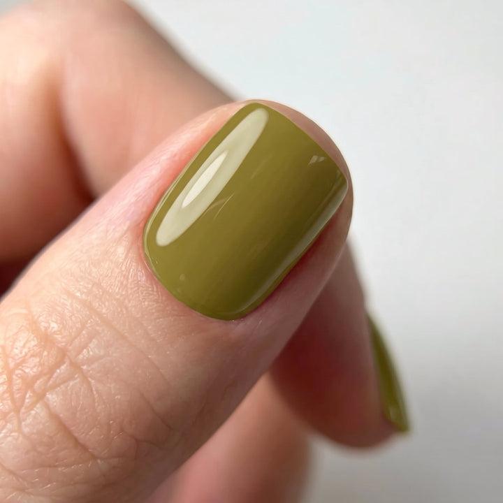 Olive appliqué