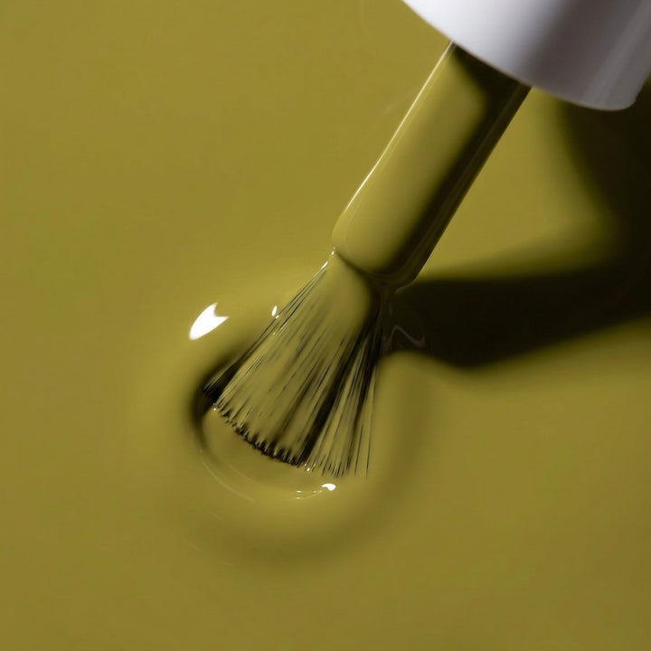 Texture Olive