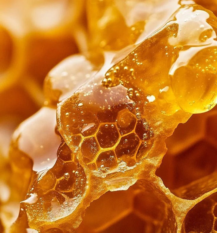 Honey - Oilixir - Cuticule oil 15 ml - Elegance Beauty Suisse