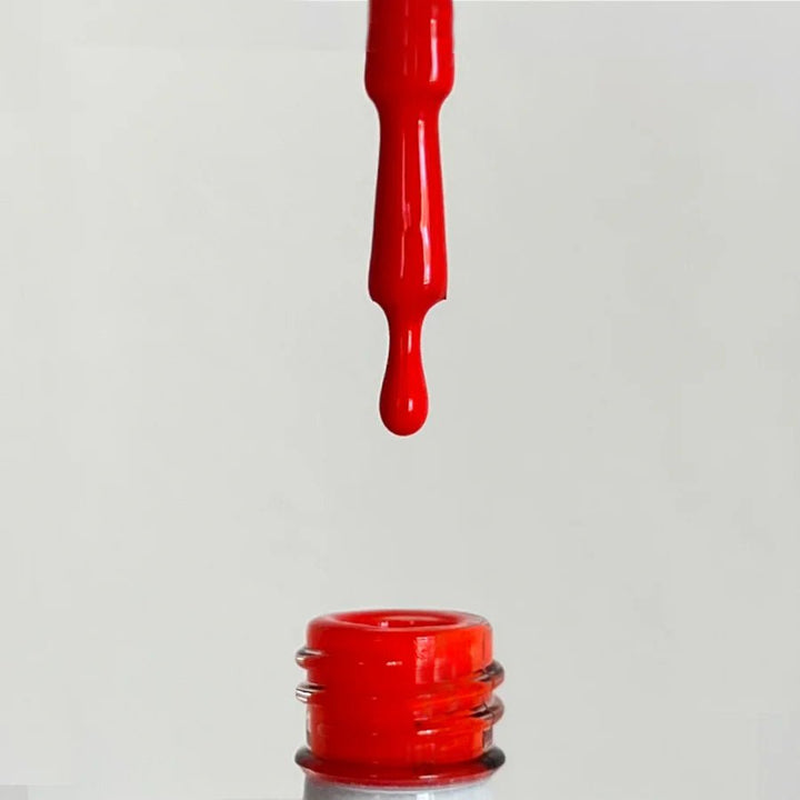 ''LATINA'' - Collection complète (6pcs) - Elegance Beauty Suisse