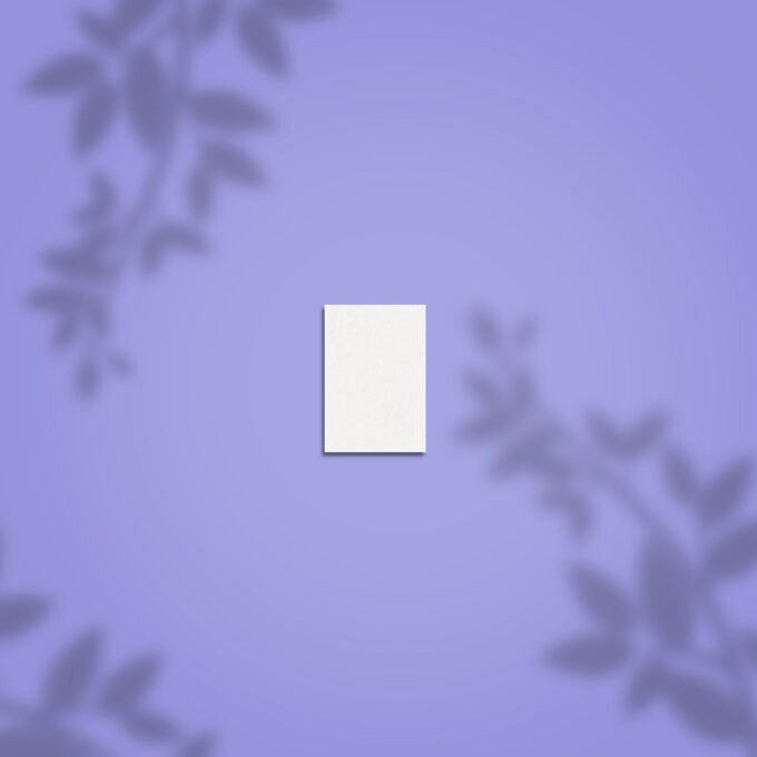 Staleks - Blocs rectangulaires 100/180 (50 pcs ) - Elegance Beauty Suisse